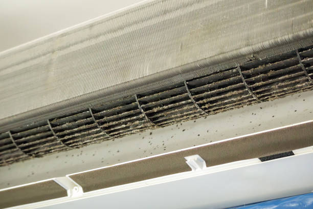 Best Home Air Vent Cleaning  in Huntington, UT